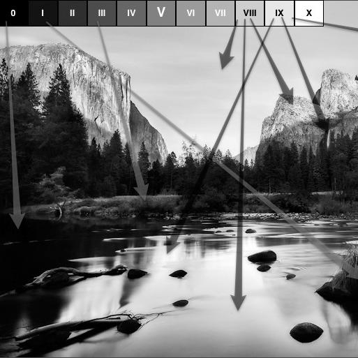 the Negative by Ansel Adams